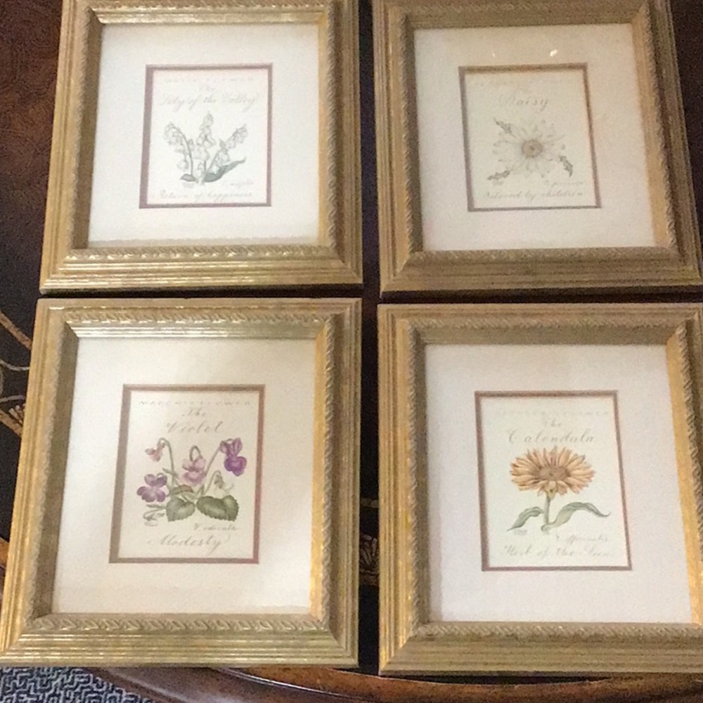Gold Framed Flower Botanical Prints Set of 4